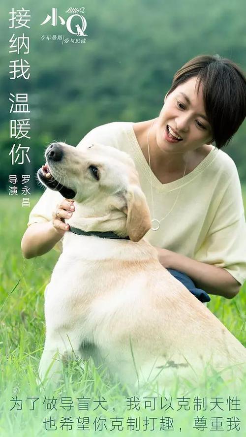英语四级成绩单丢失了怎么办